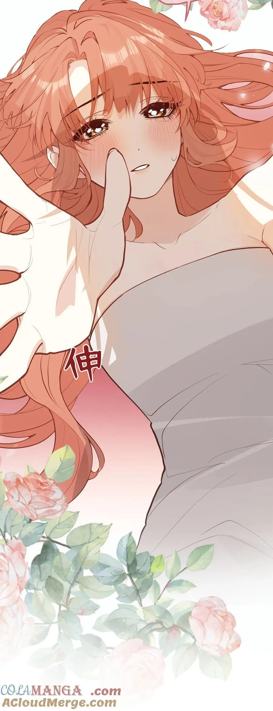 040 盛开的百合花（下） 第13页