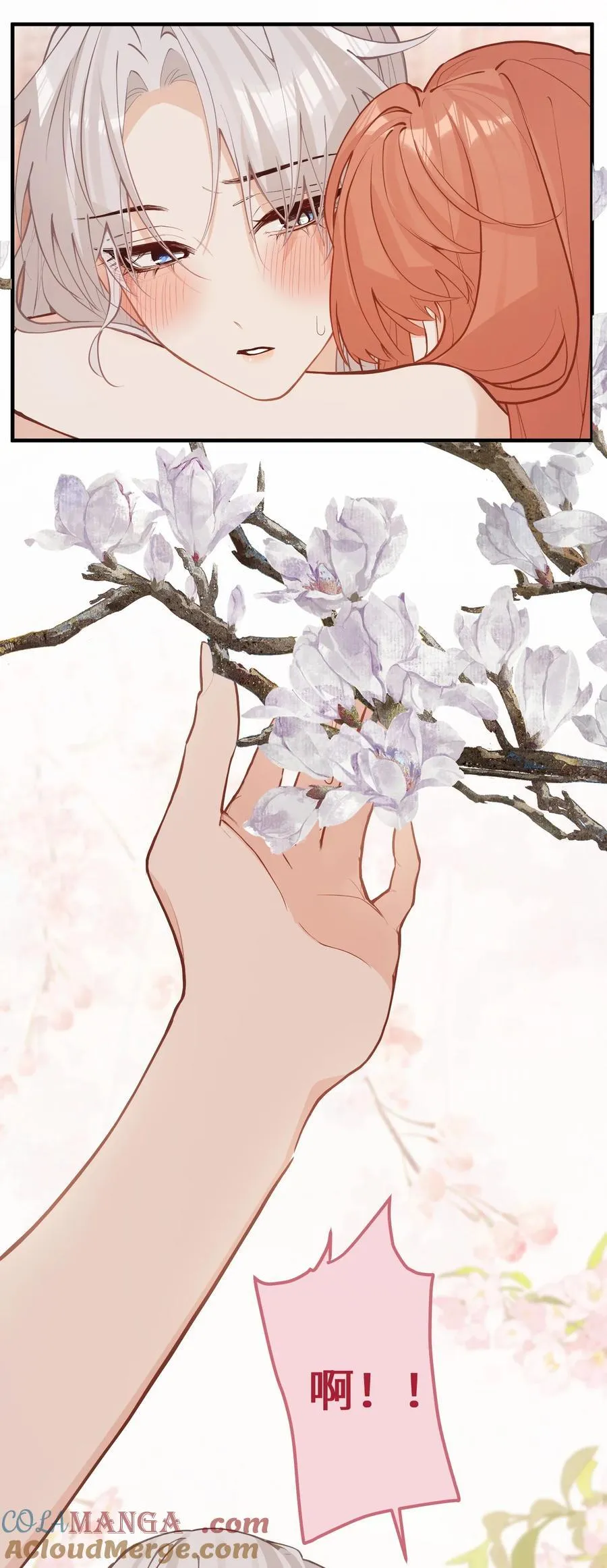 040 盛开的百合花（下） 第15页