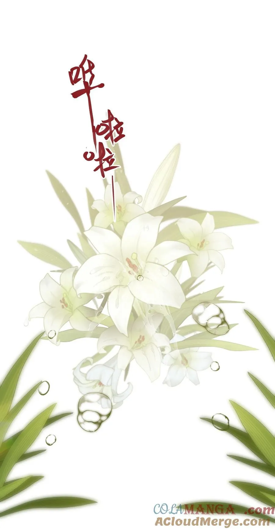 040 盛开的百合花（下） 第21页