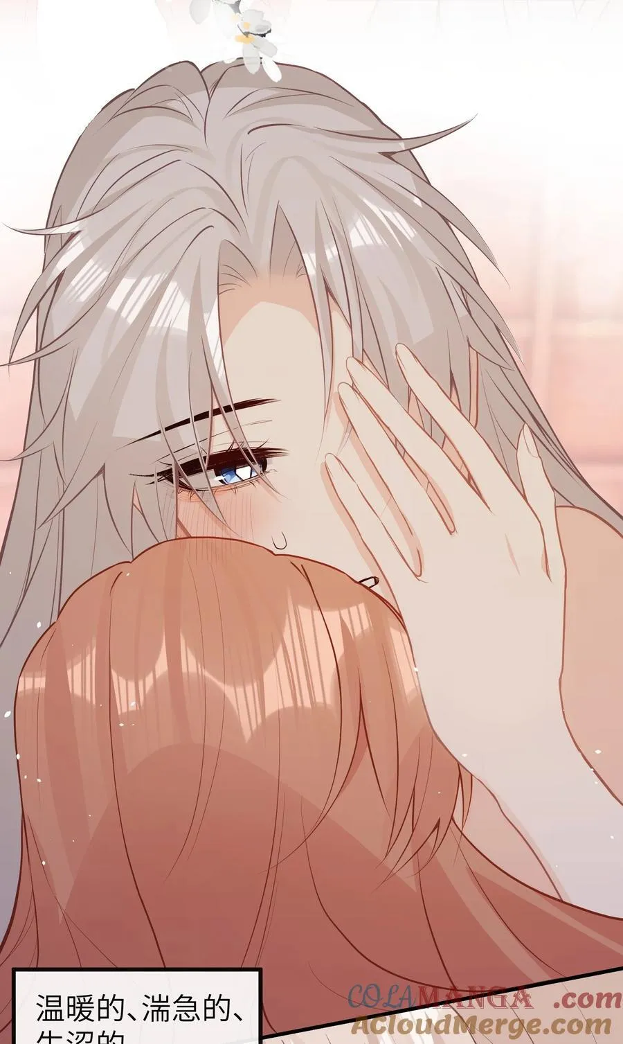 040 盛开的百合花（下） 第23页