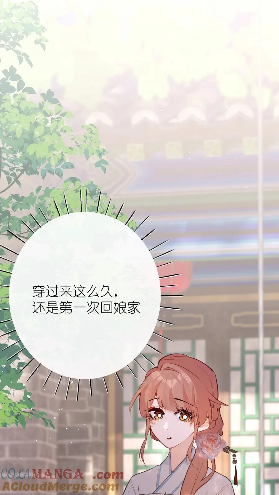 041 回娘家 第29页