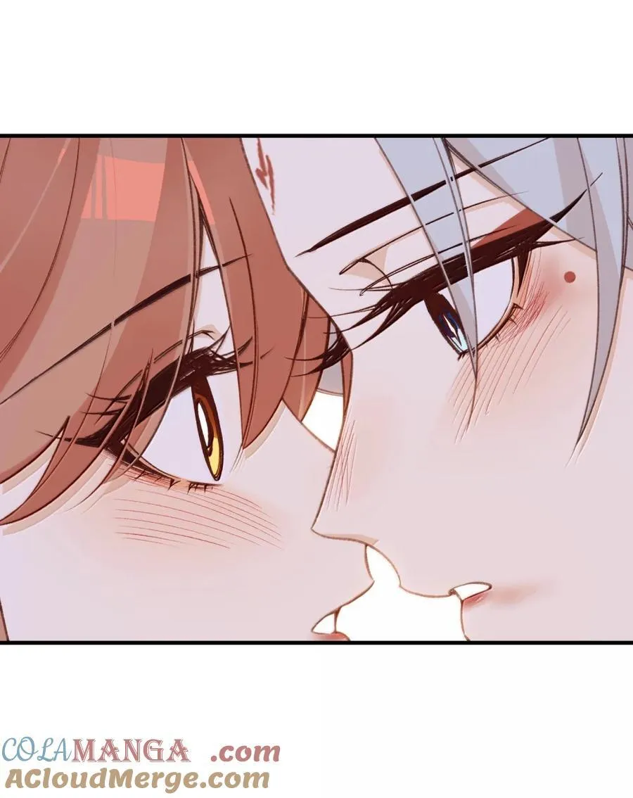 088 骗人 第41页