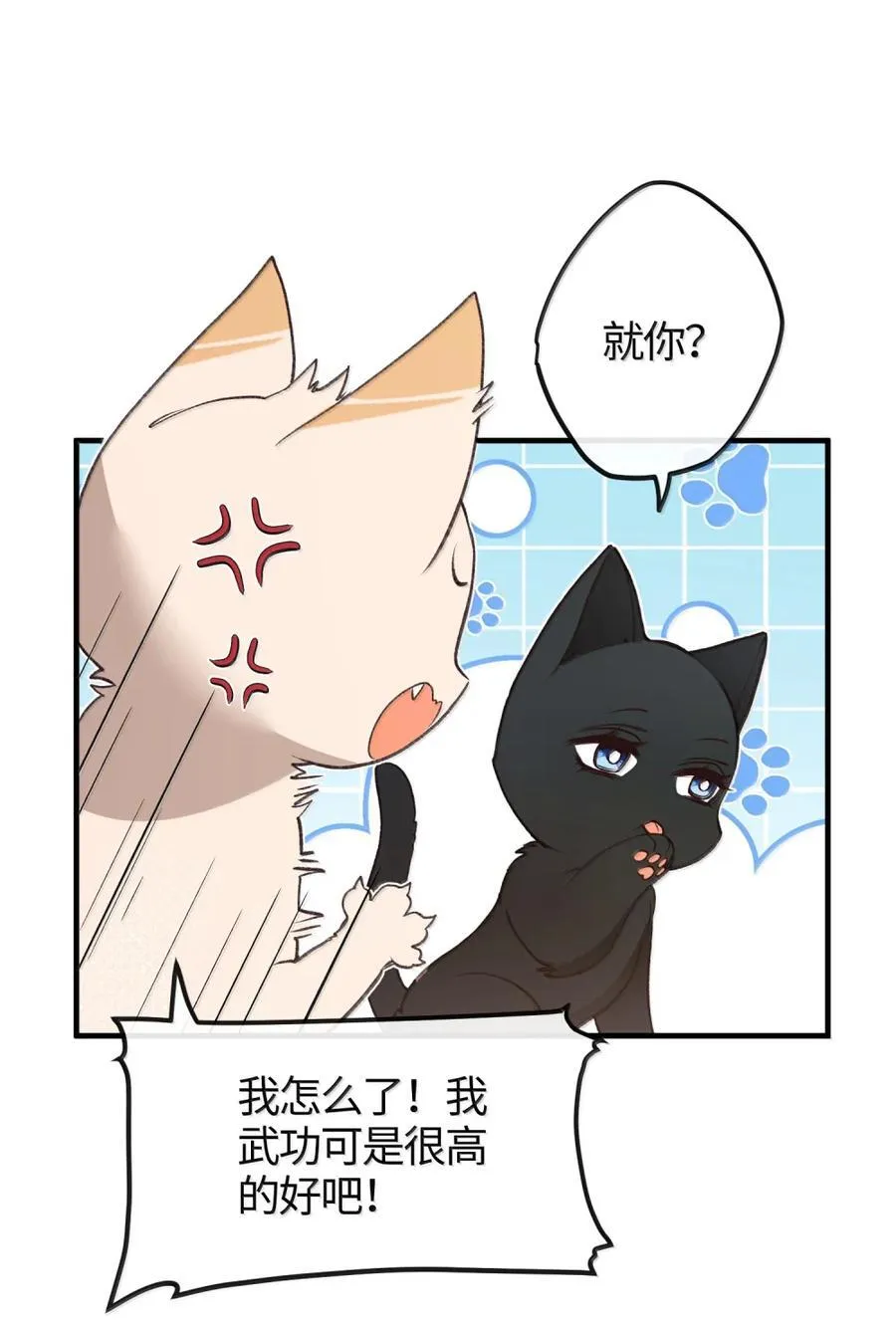089 人间第一绝色 第48页