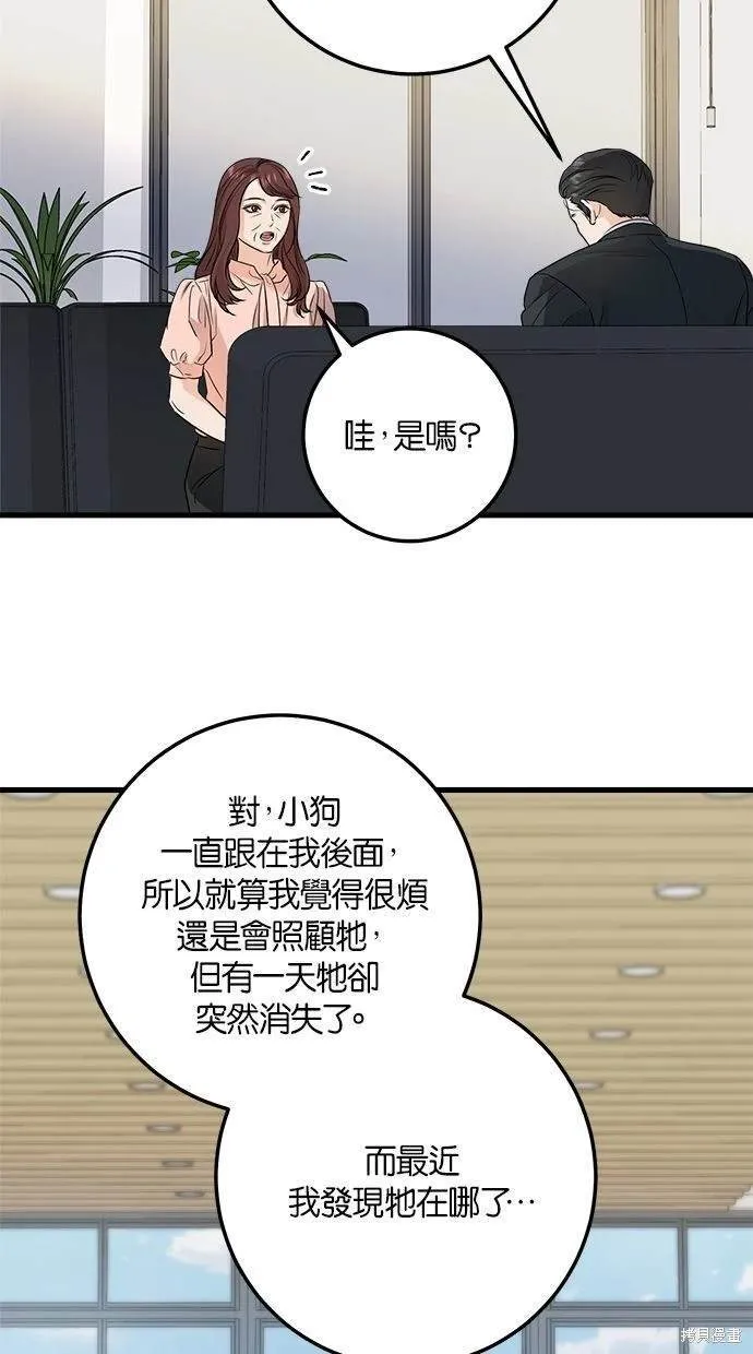 13 第13页