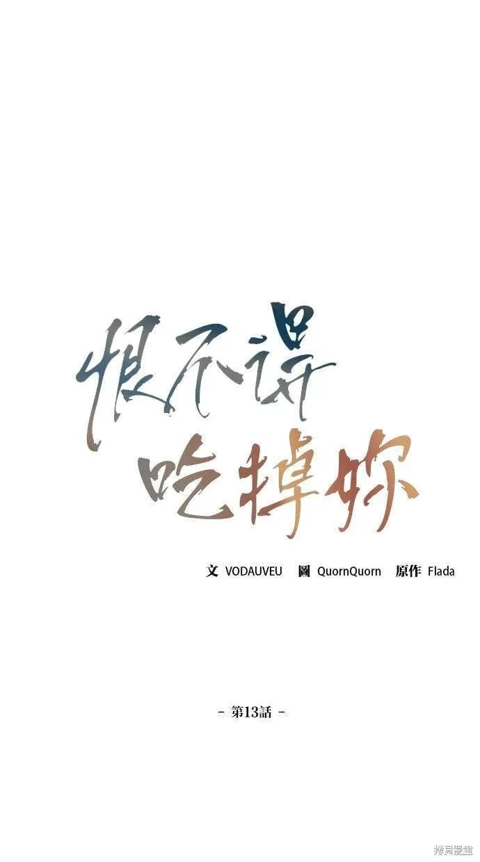 13 第20页
