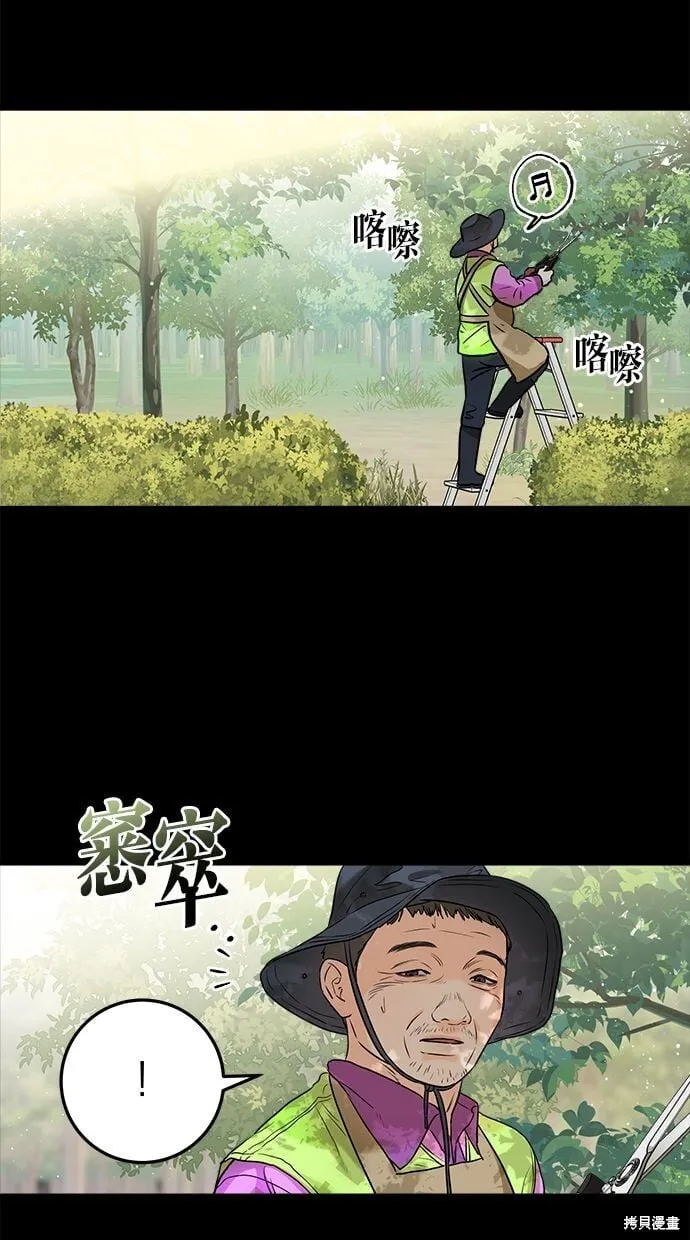 26 第3页