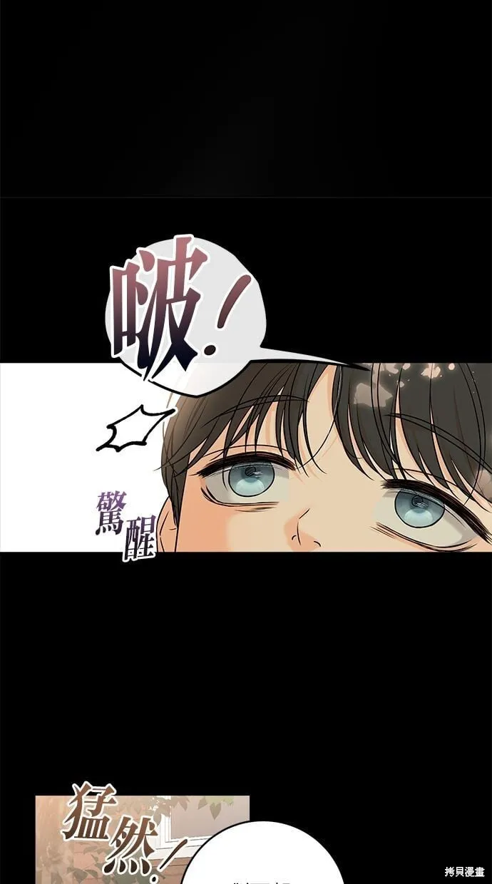 26 第18页