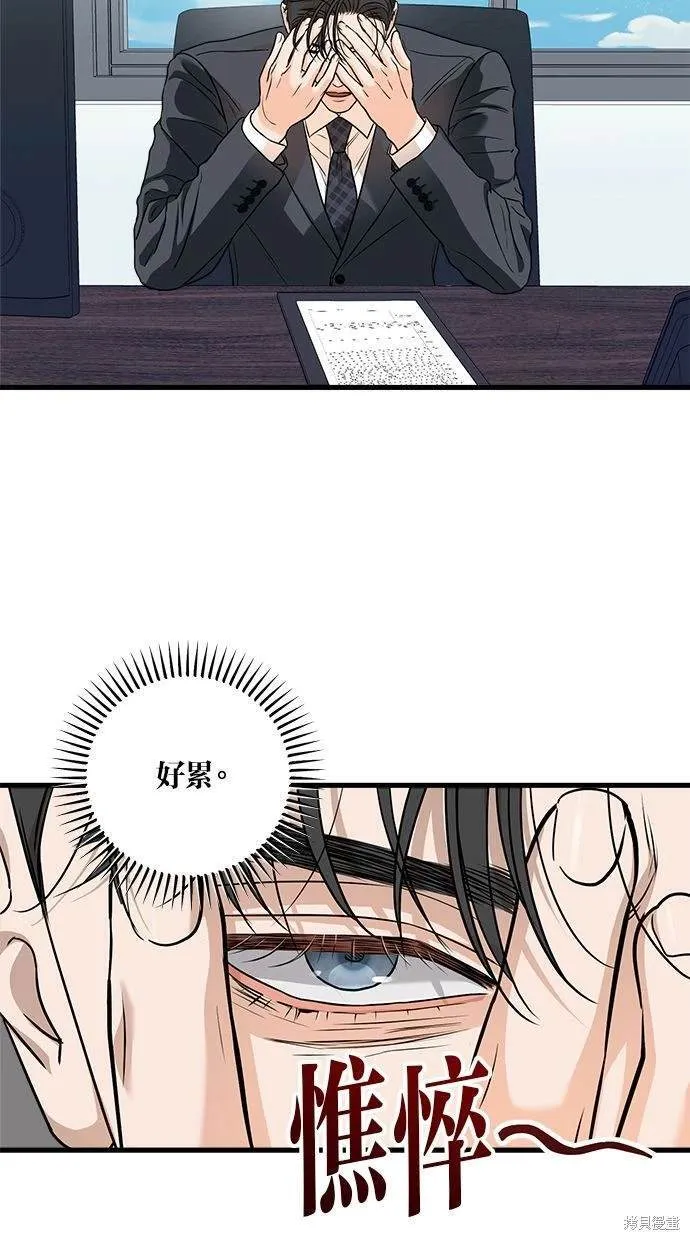 31 第8页