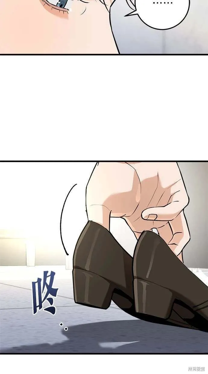 38 第55页