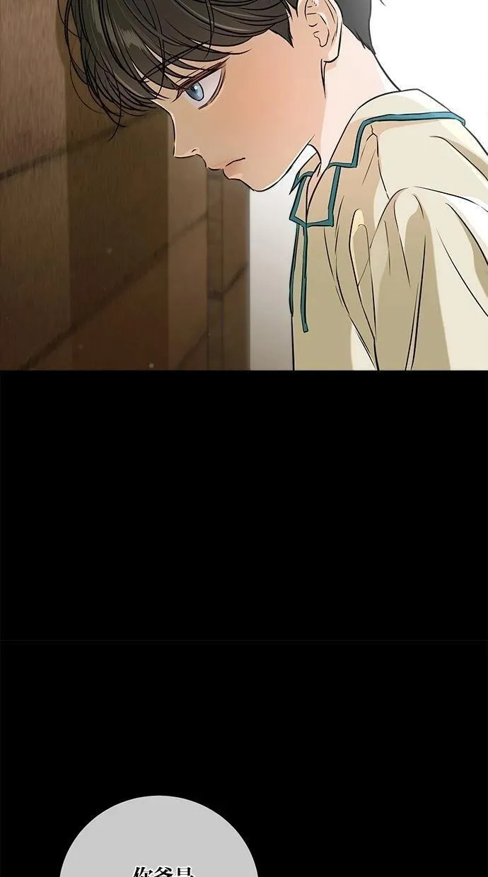 53 第8页
