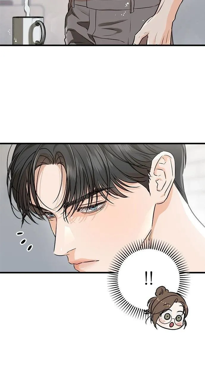 53 第41页