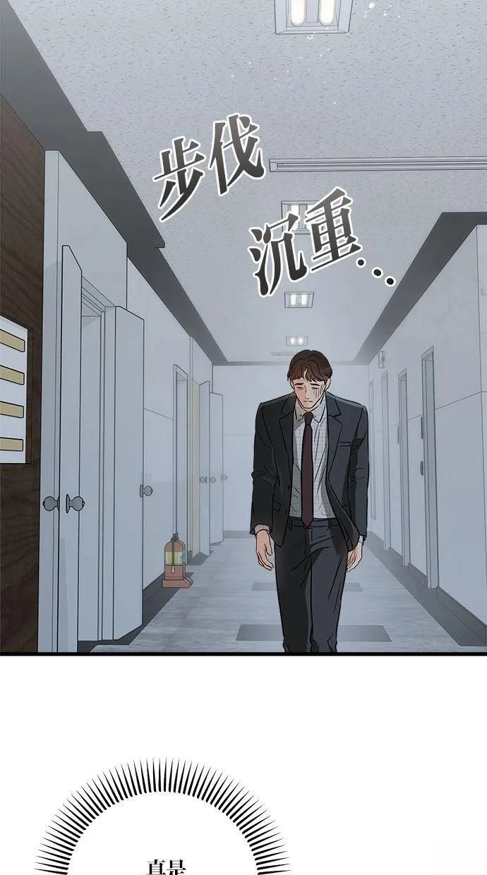 55 第68页