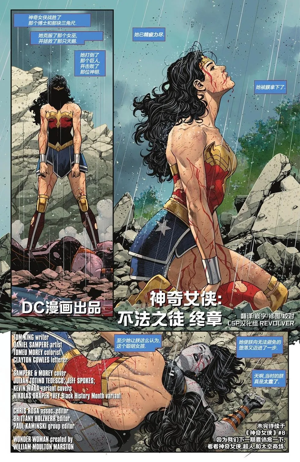 第06卷 第30页