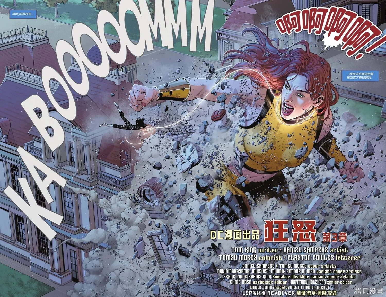 第17卷 第10页