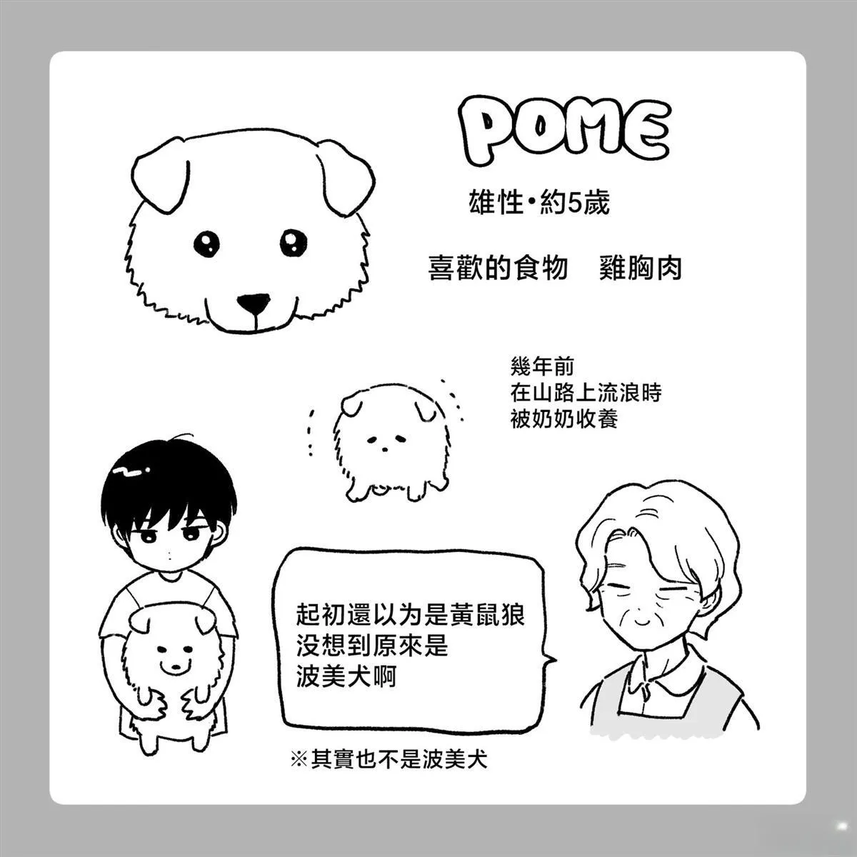 39 第20页