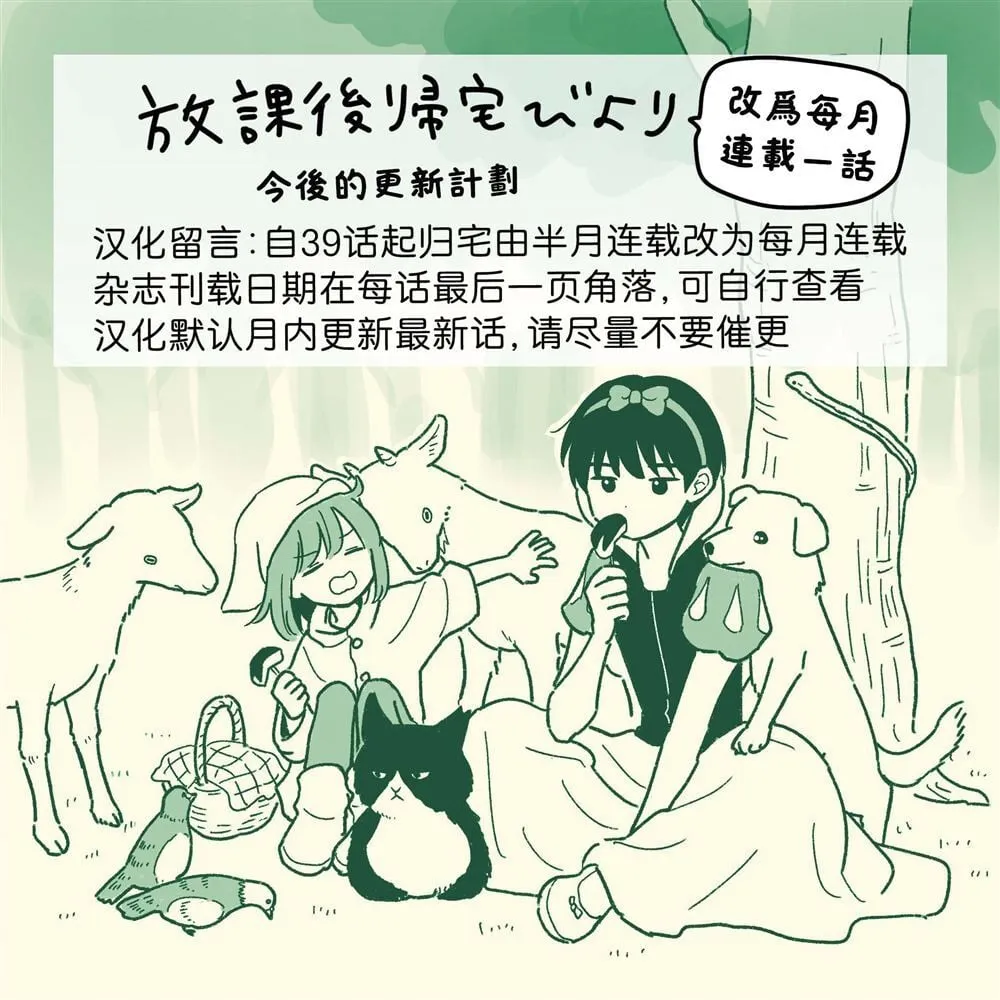 41 第22页