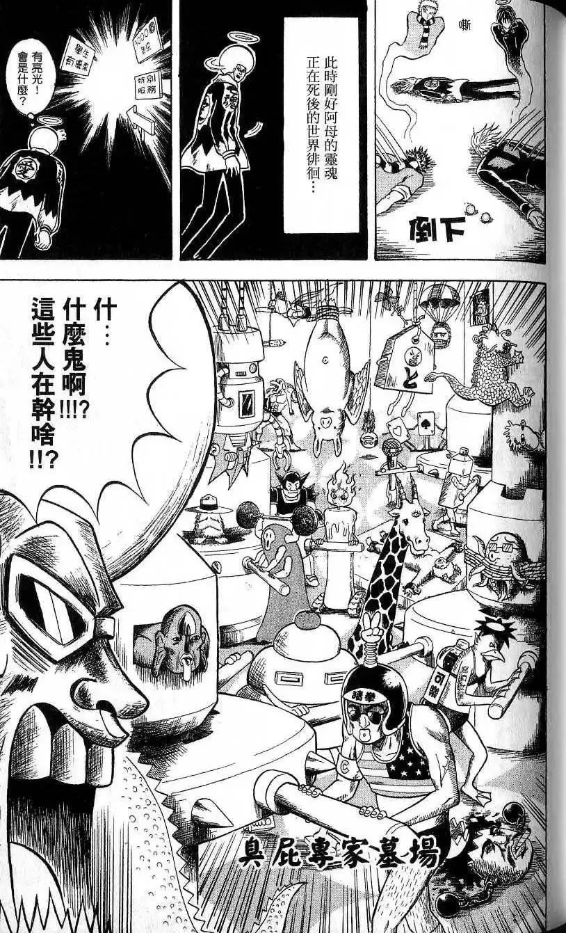 第21卷 第110页