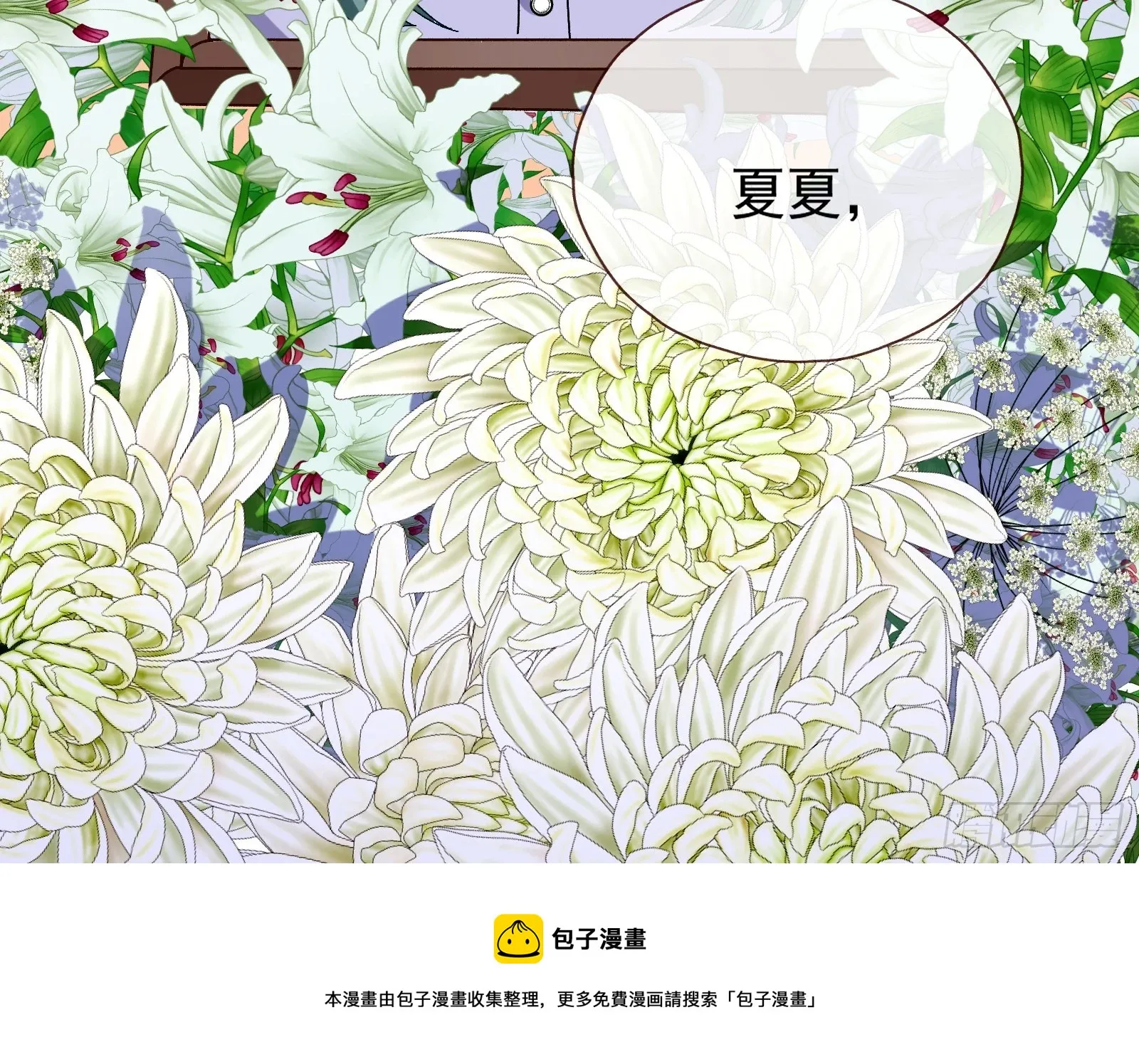 偶像与玩物 第50页
