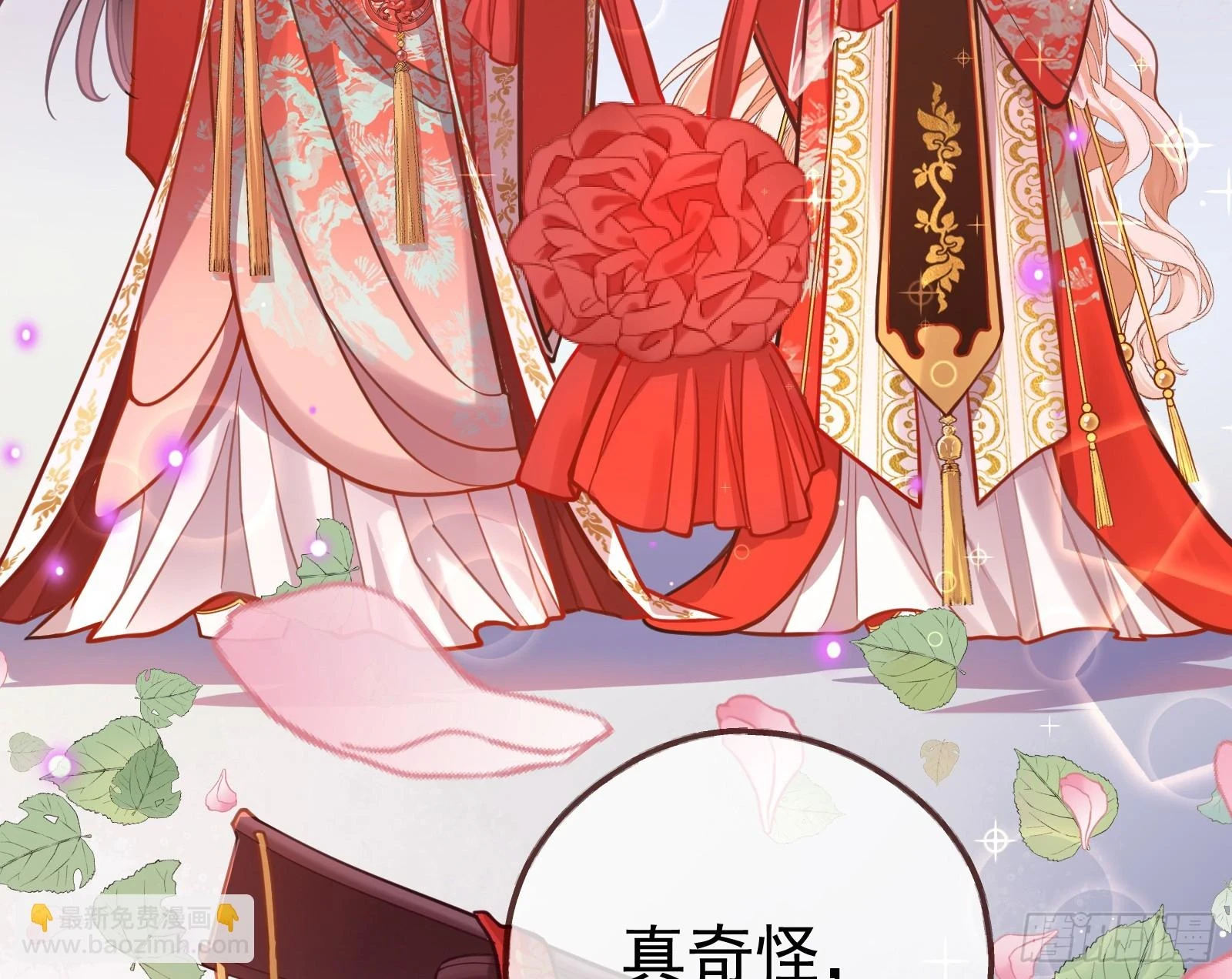大婚之礼 第29页
