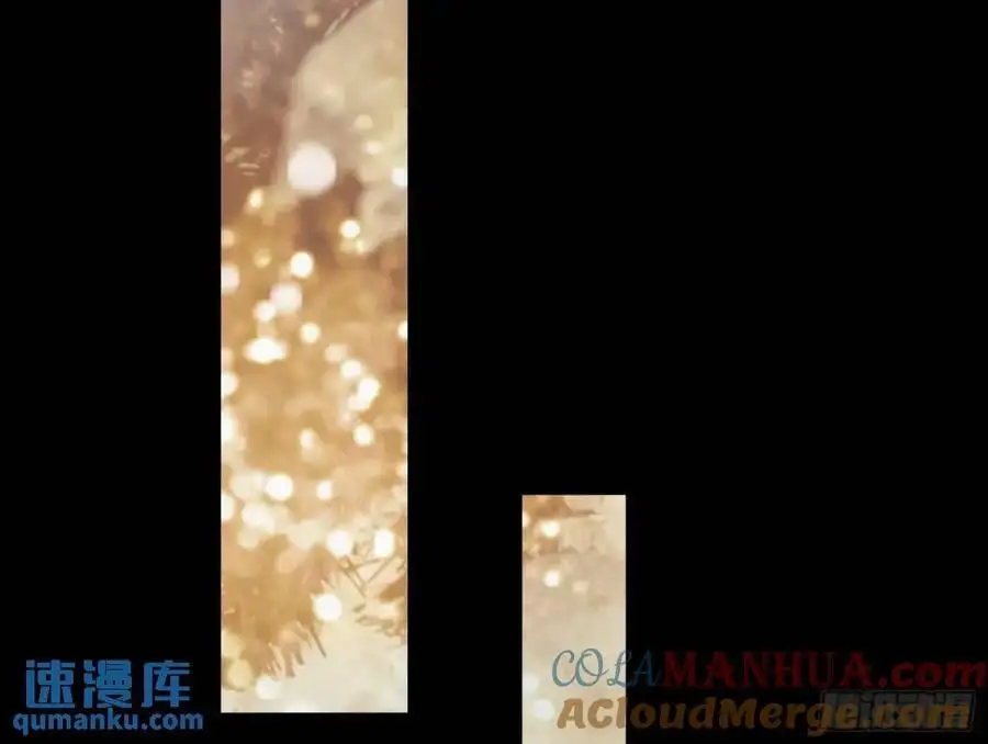 价高者得 第37页