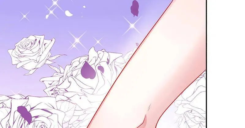 闪亮登场 第48页