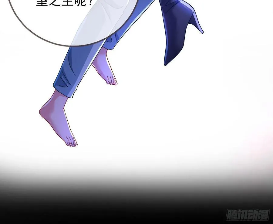 陪衬品 第24页
