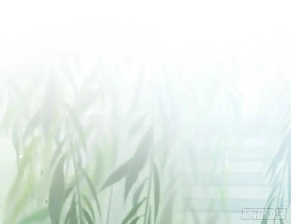 找到苏绿夏 第40页