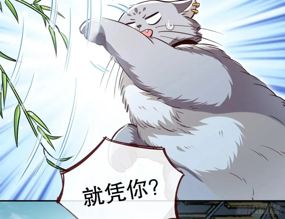 找到苏绿夏 第47页
