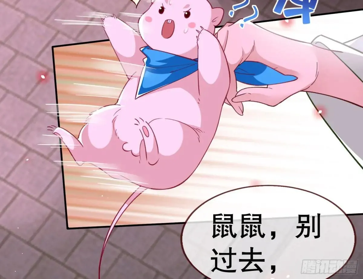 谁是赢家 第111页