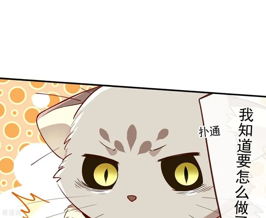 彩蛋02 人设关键词解锁 第38页