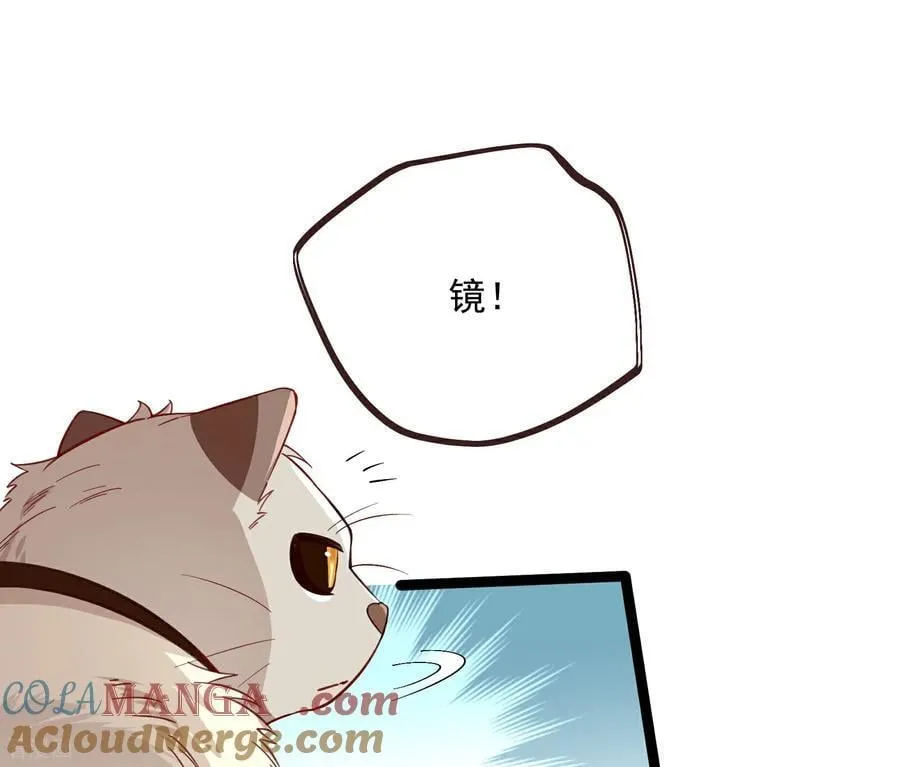 彩蛋02 人设关键词解锁 第64页