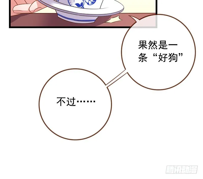 本宫也不是什么恶魔 第12页