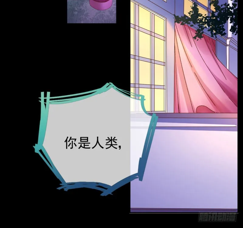 红颜未老恩先绝 第4页