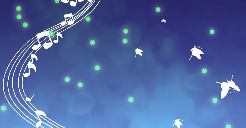 生日风波 第67页