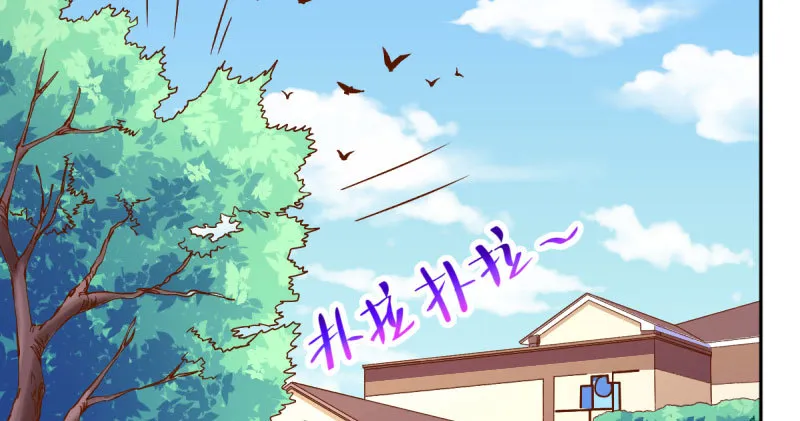 狗血女配登场 第51页