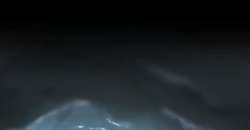 绝地一击 第95页