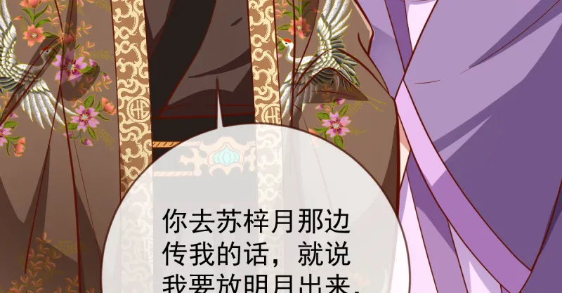 聪明反被聪明误 第97页