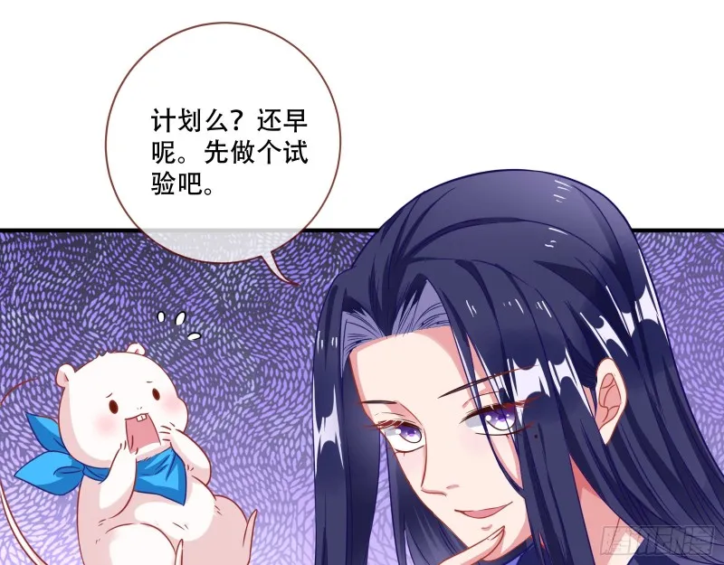 试验 第11页