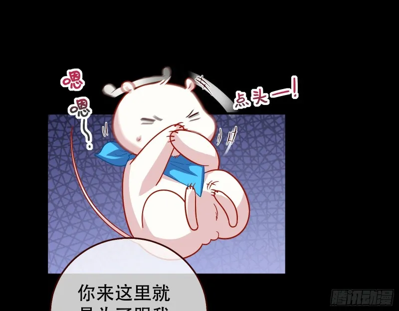 试探 第13页