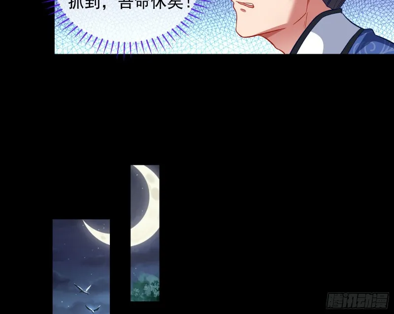 全城搜捕 第40页