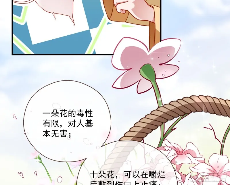 极限反杀 第14页