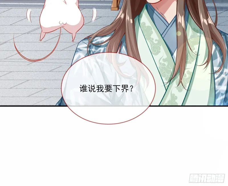报名风波 第86页