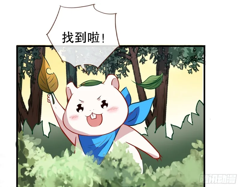 天地印 第67页
