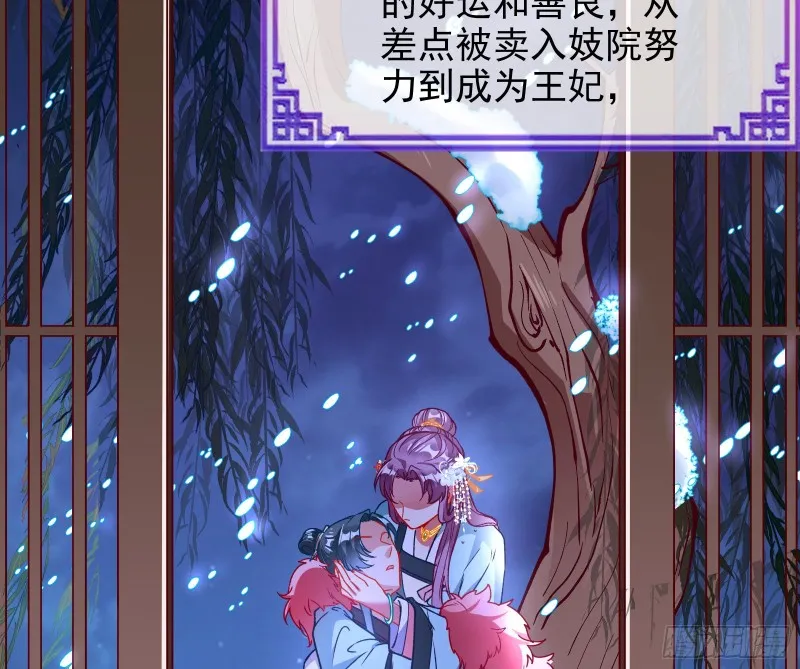 七生七世万里菊花 第97页