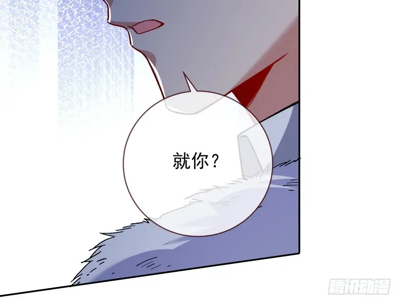 风光回归，大权在握 第19页