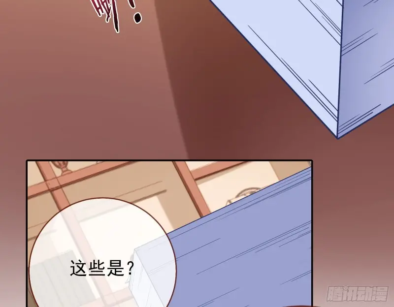 风光回归，大权在握 第68页