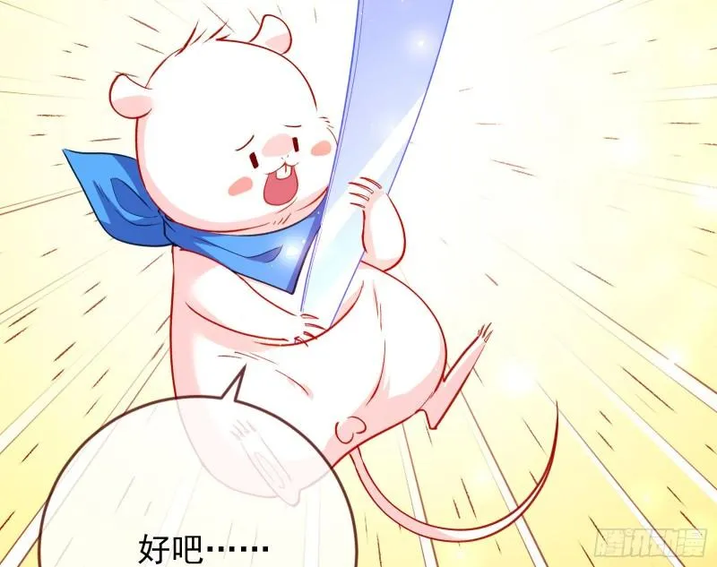 新一轮挑战 第51页