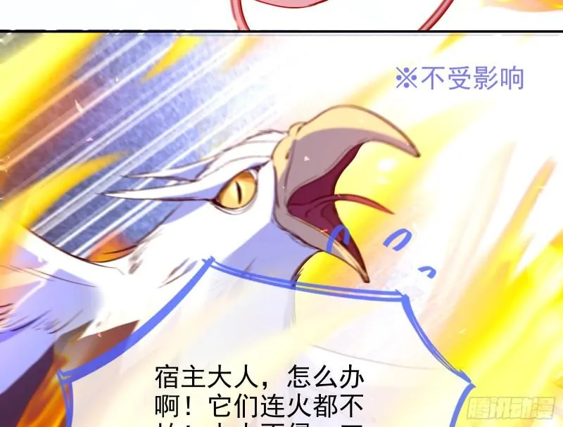 来到你面前 第17页
