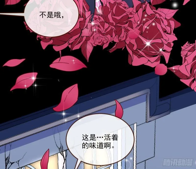 诱饵 第72页