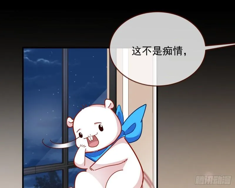 我不爱你 第63页